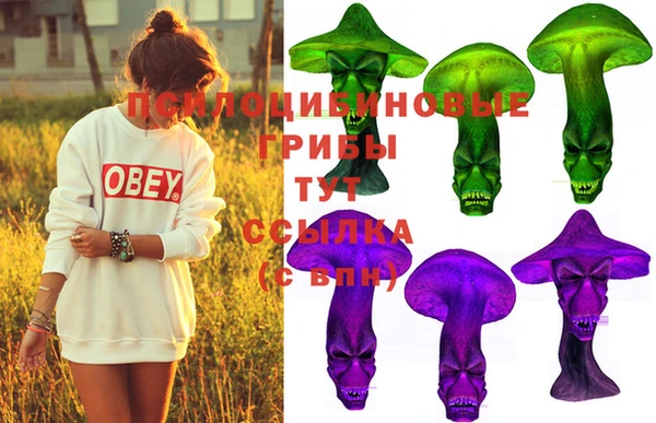 не бодяженный Алзамай