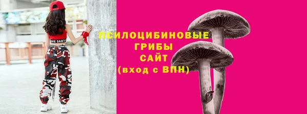 ПСИЛОЦИБИНОВЫЕ ГРИБЫ Алексин