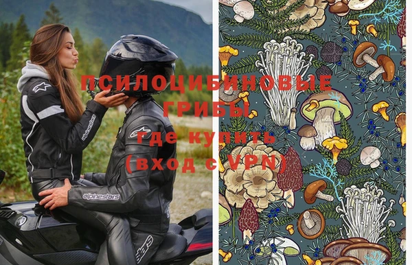 не бодяженный Алзамай
